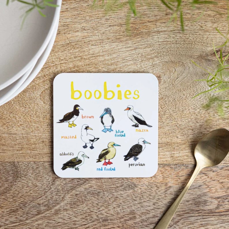 48% OFF🐦Set of 6 Bird Pun Coasters