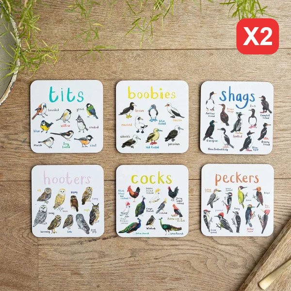 48% OFF🐦Set of 6 Bird Pun Coasters