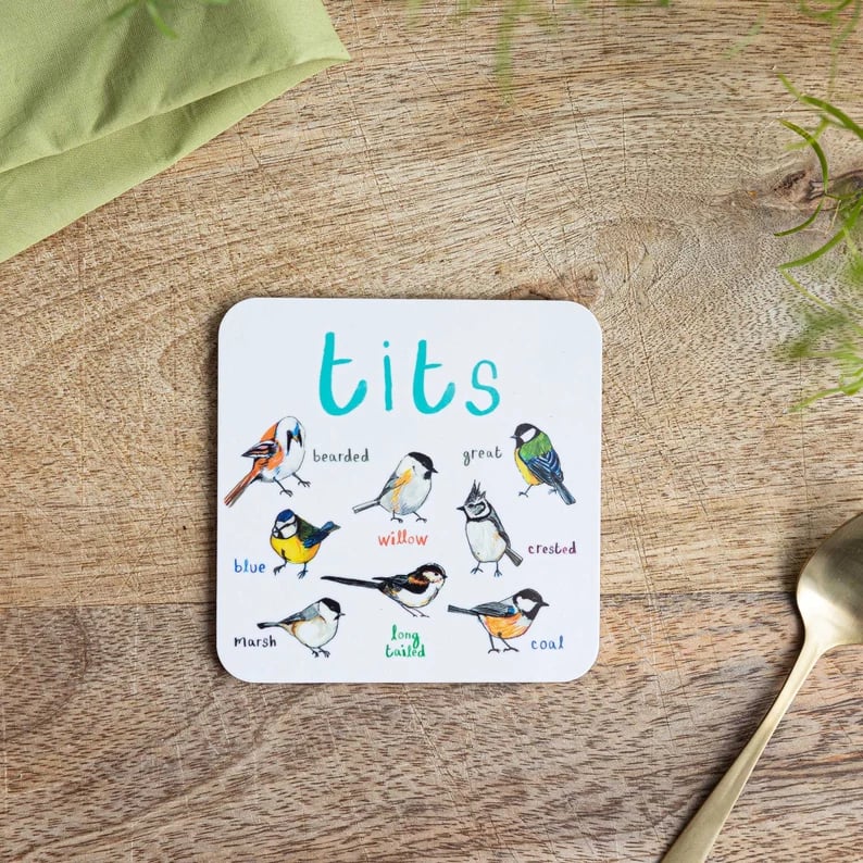 48% OFF🐦Set of 6 Bird Pun Coasters