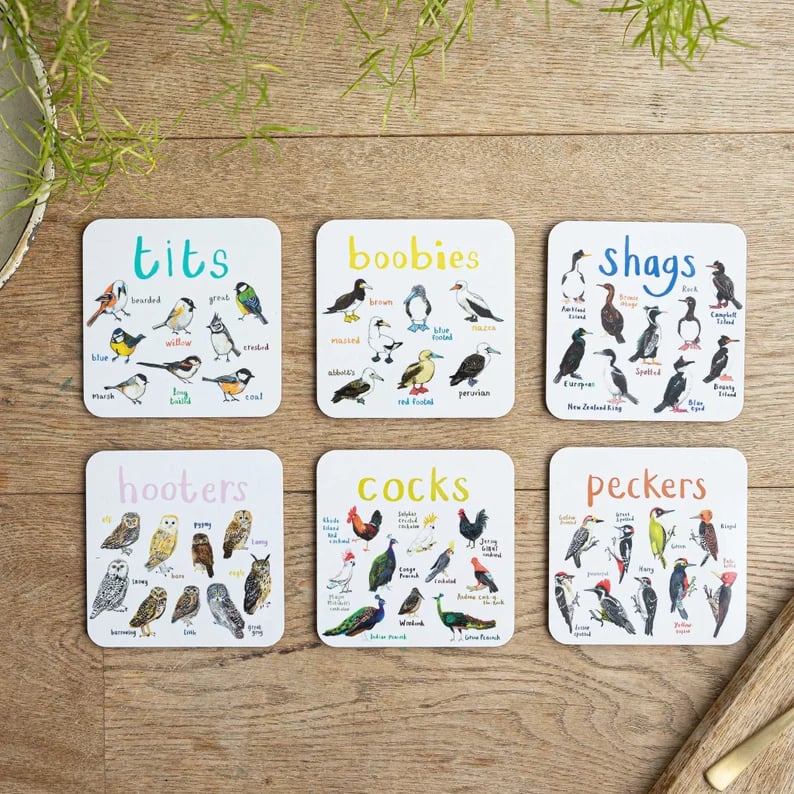 48% OFF🐦Set of 6 Bird Pun Coasters