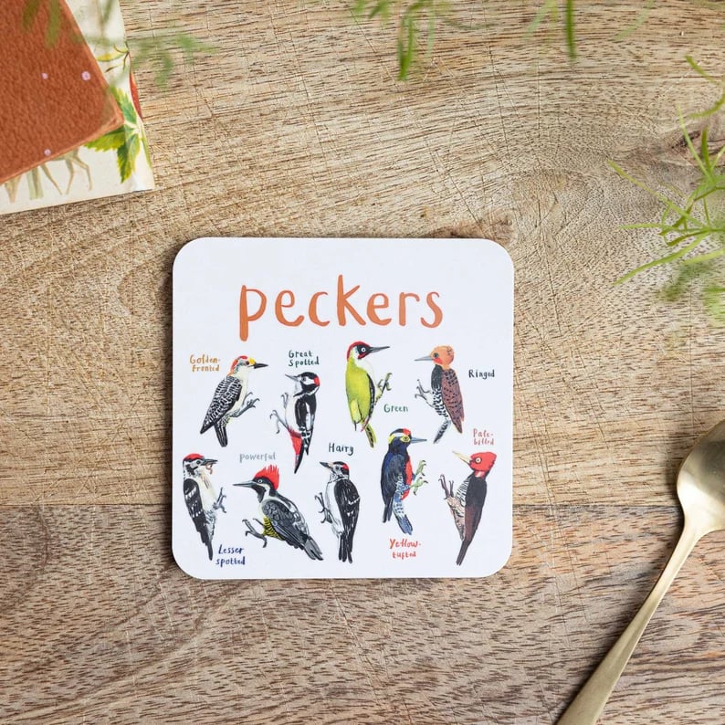 48% OFF🐦Set of 6 Bird Pun Coasters